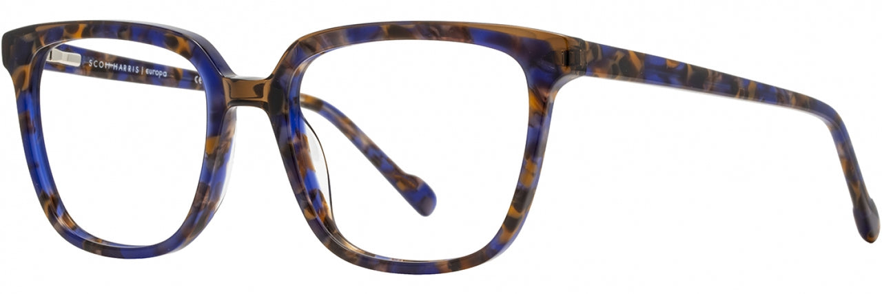 1 - Indigo Tortoise