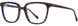 1 - Indigo Tortoise
