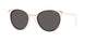 Vogue Eyewear 5230S Sunglasses