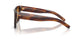 306373 - Tortoise - Bronze