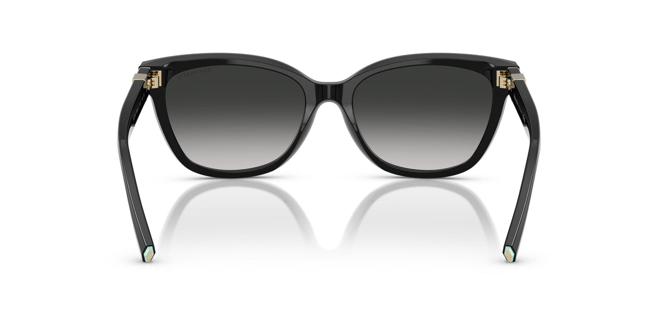 80013C - Black - Grey Gradient