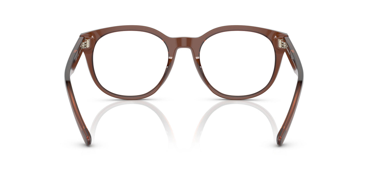 5044 - Brown