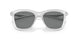 202987 - Transparent - Dark Grey Mirror