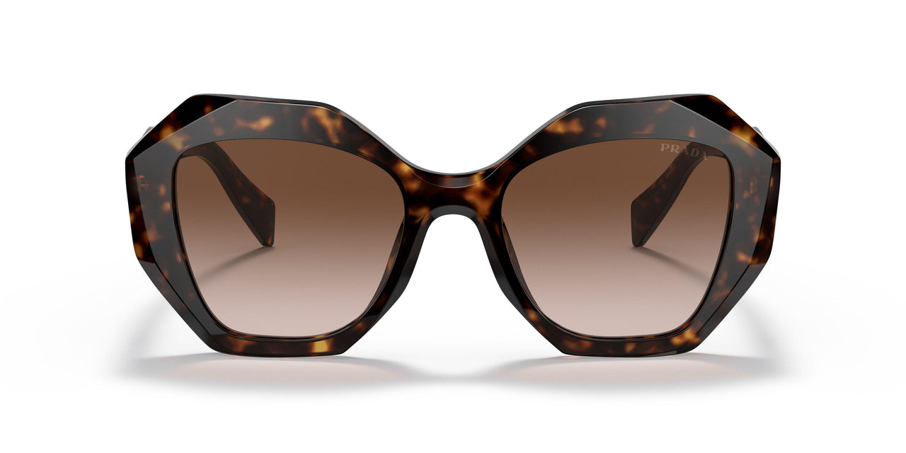 2AU6S1 - Havana - Brown Gradient