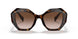 2AU6S1 - Havana - Brown Gradient