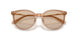 507693 - Brown - Light Brown