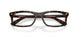 8484 - Tortoise - Clear