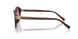 84218H - Brown - Pink/violet
