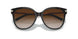 81343B - Havana - Brown Gradient