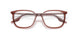 8171 - Brown