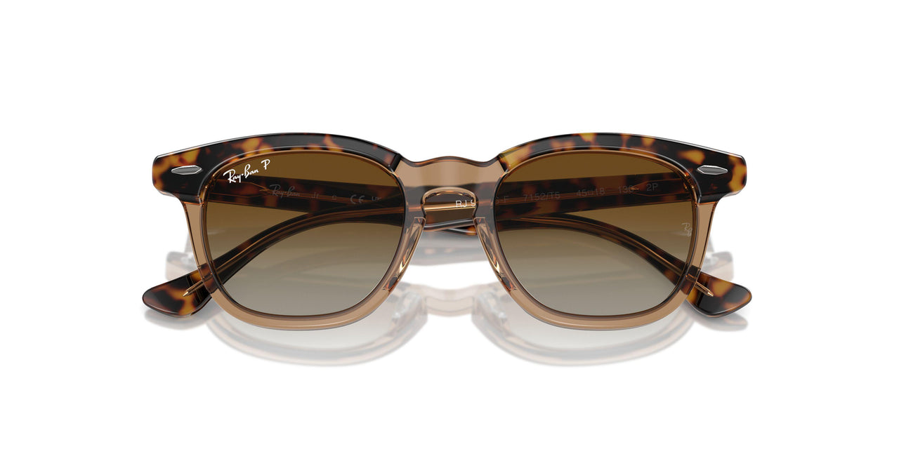 7152T5 - Brown - Brown