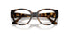 W656 - Brown