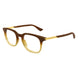 002 - Brown - Transparent