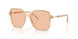 836673 - Brown - Light Brown