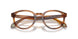 6163 - Tortoise