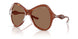 203373 - Clear - Dark Brown
