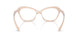 2034 - Brown