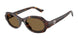 587973 - Tortoise - Brown