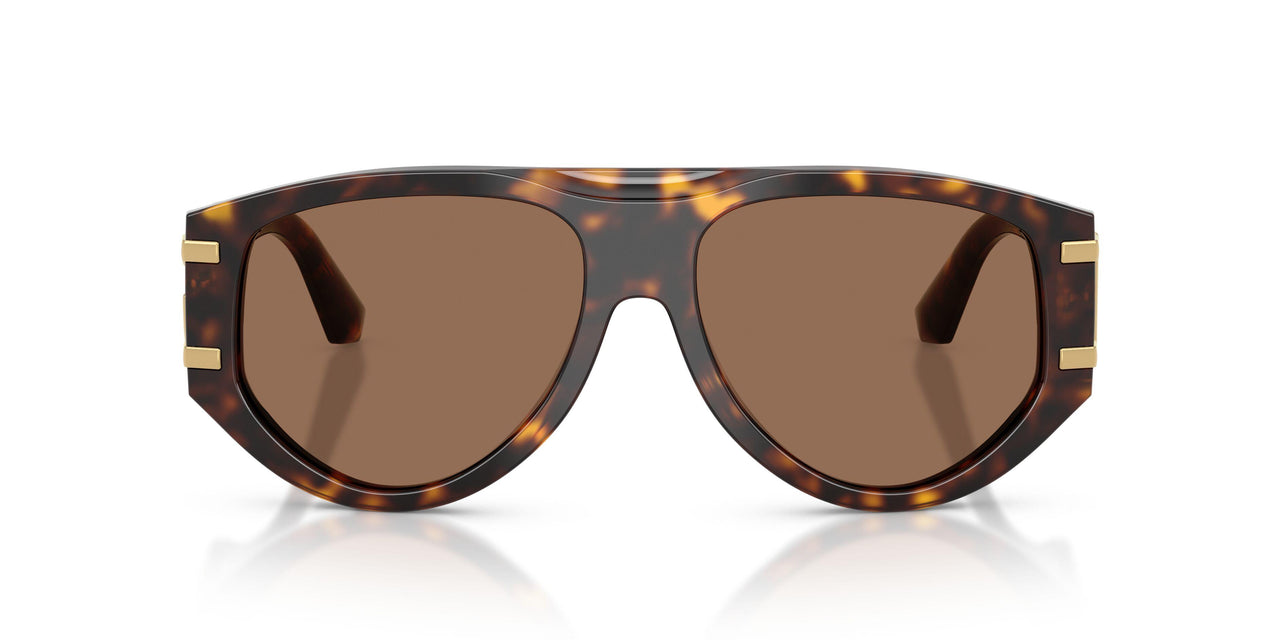 502/73 - Tortoise - Dark Brown