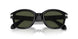 95/31 - Black - Green