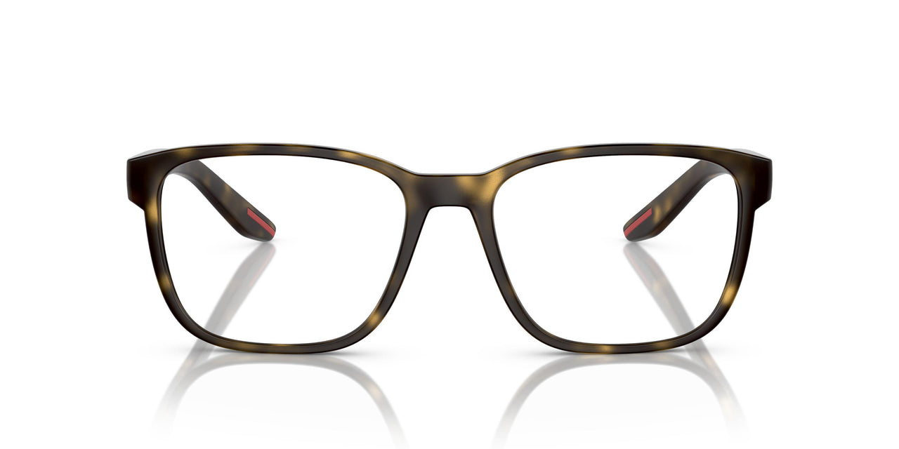 5811O1 - Tortoise