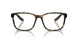 5811O1 - Tortoise