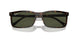 902/31 - Tortoise - Green