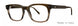 Valdo Romano Eyeglasses