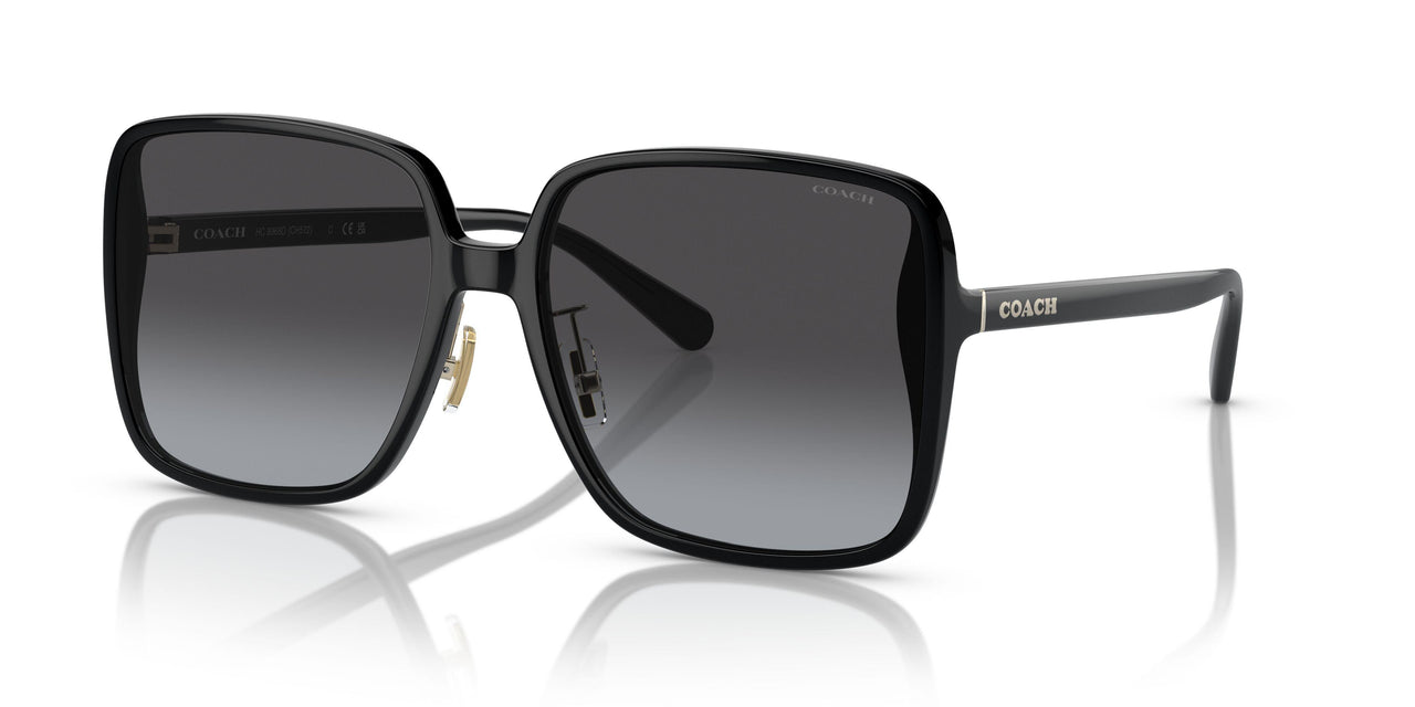 50028G - Black - Grey Gradient