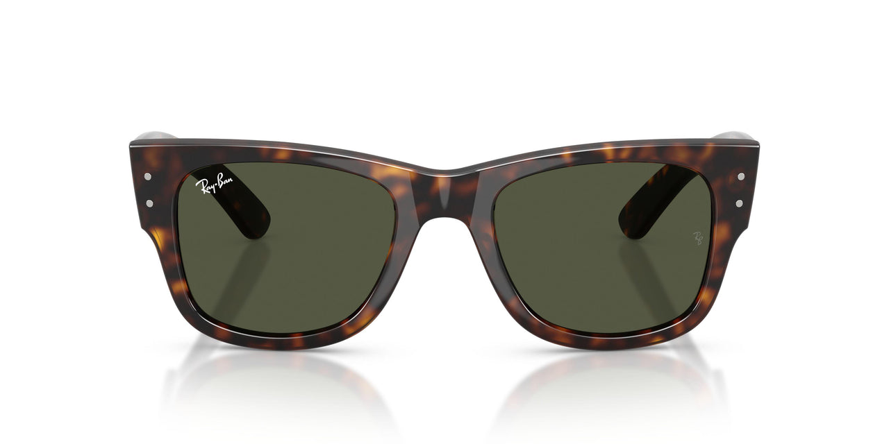 902/31 - Tortoise - Green