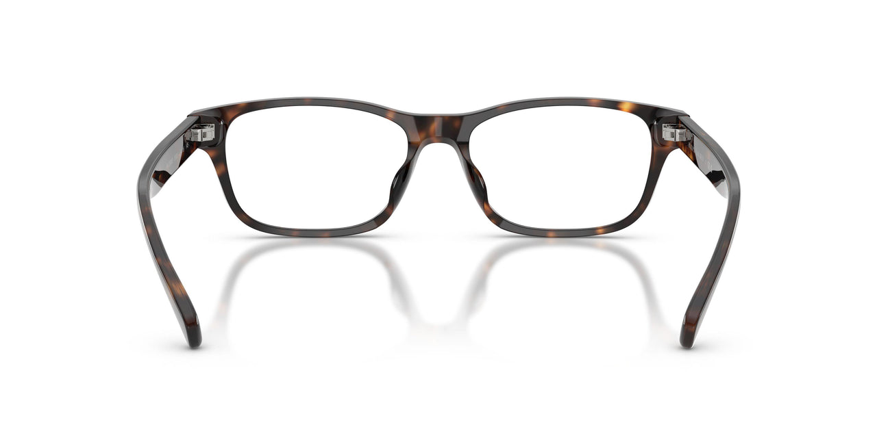 5003 - Tortoise