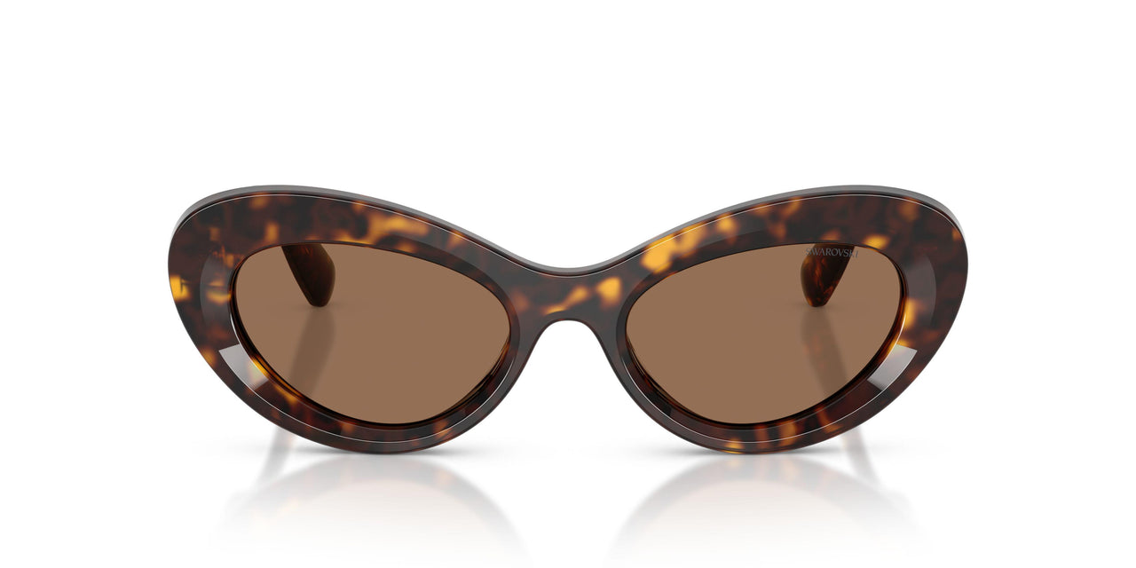 100273 - Tortoise - Dark Brown