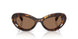 100273 - Tortoise - Dark Brown