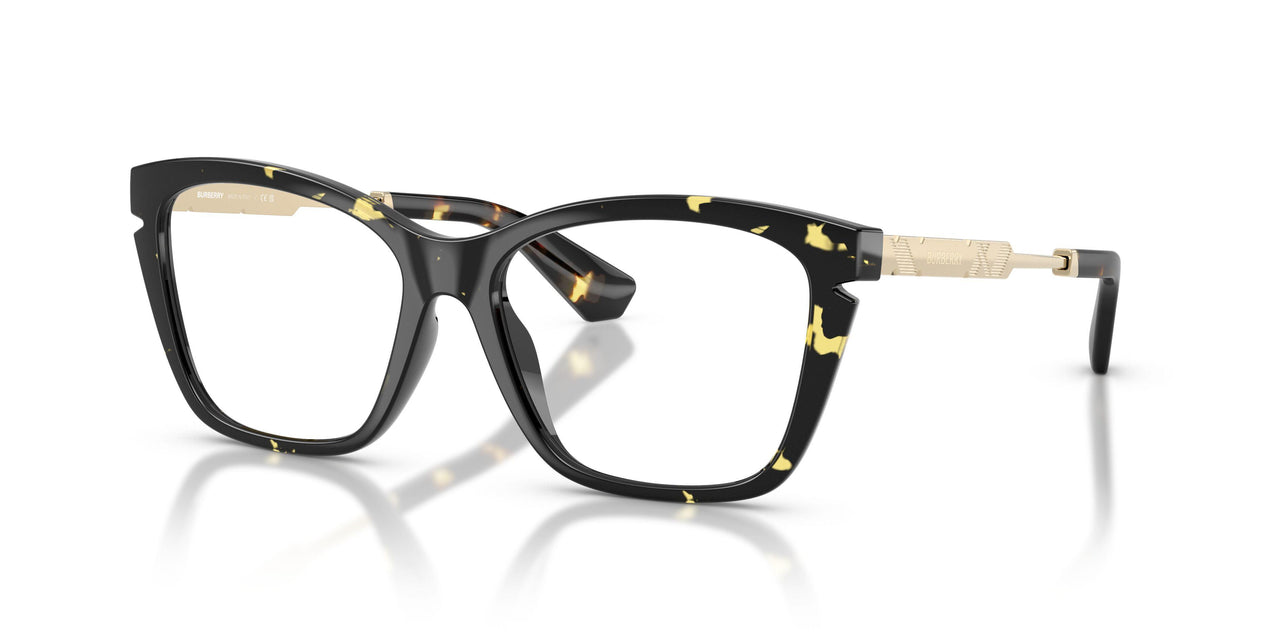 4106 - Tortoise