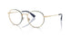 Polo 1241 Eyeglasses
