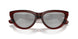 41448V - Brown - Clear Mirror Silver 80