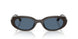 686880 - Brown - Dark Blue
