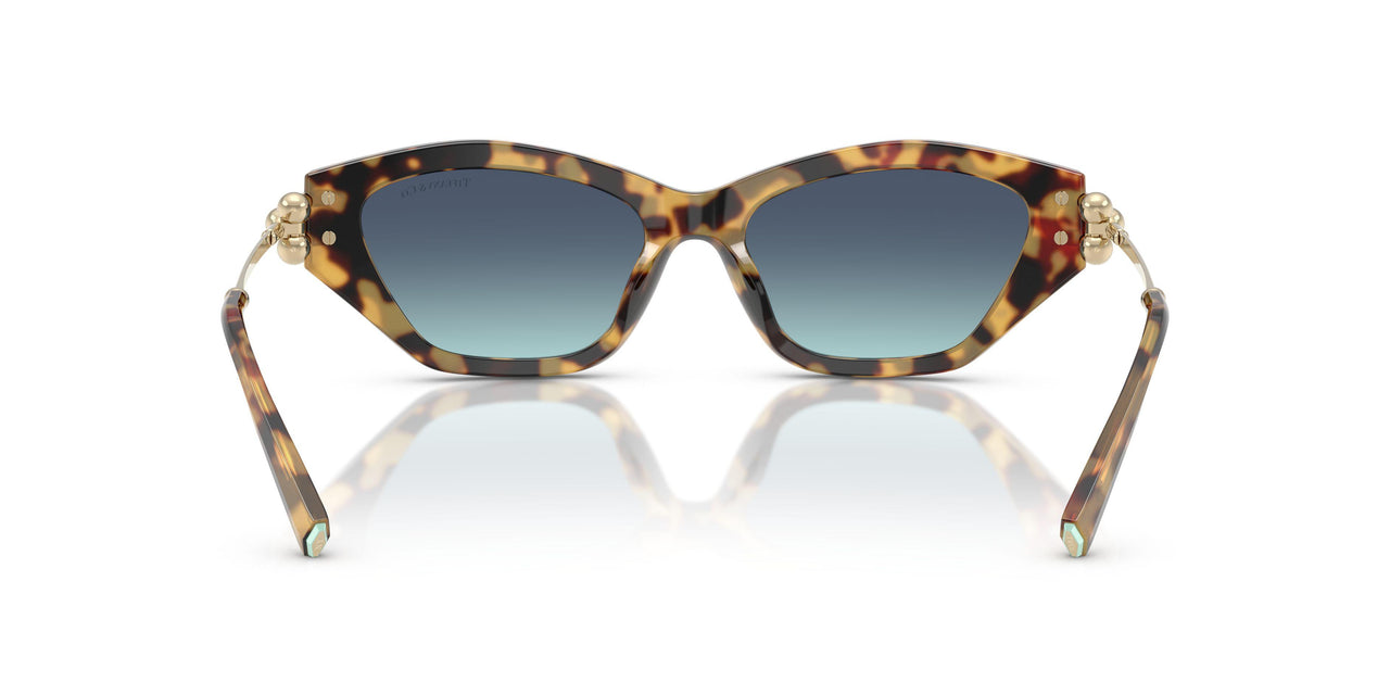 80649S - Tortoise - Azure Gradient Blue