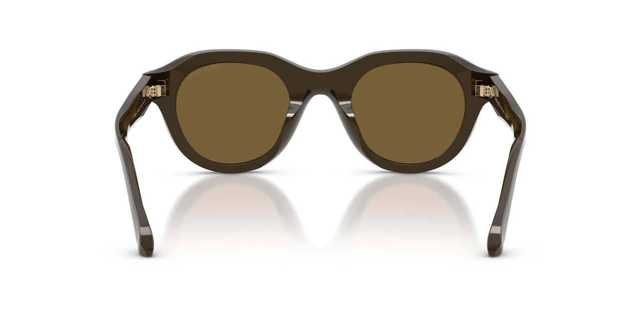 643473 - Green - Dark Brown