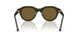 643473 - Green - Dark Brown