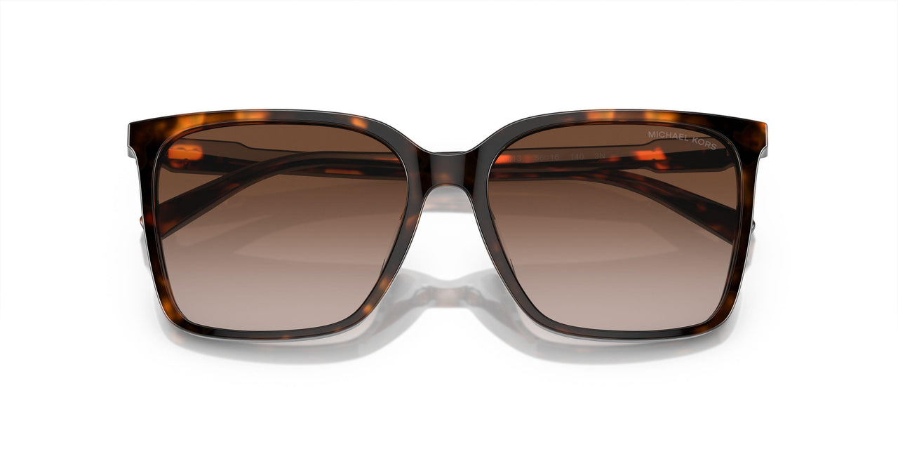 300613 - Tortoise - Brown Gradient