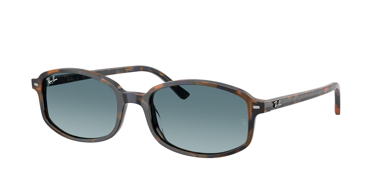 13563M - Tortoise - Blue Gradient Grey