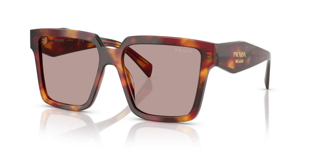 22A20I - Tortoise - Light Purple Brown