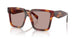 22A20I - Tortoise - Light Purple Brown