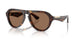 300273 - Brown - Dark Brown