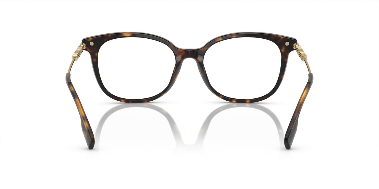 3002 - Brown