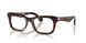 3002 - Brown
