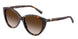 80153B - Tortoise - Brown Gradient