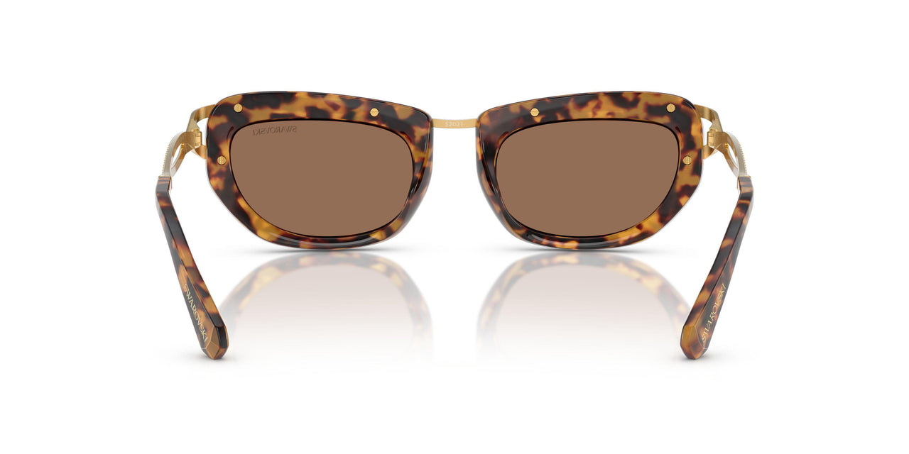 403573 - Tortoise - Dark Brown