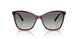 298911 - Violet - Gradient Grey